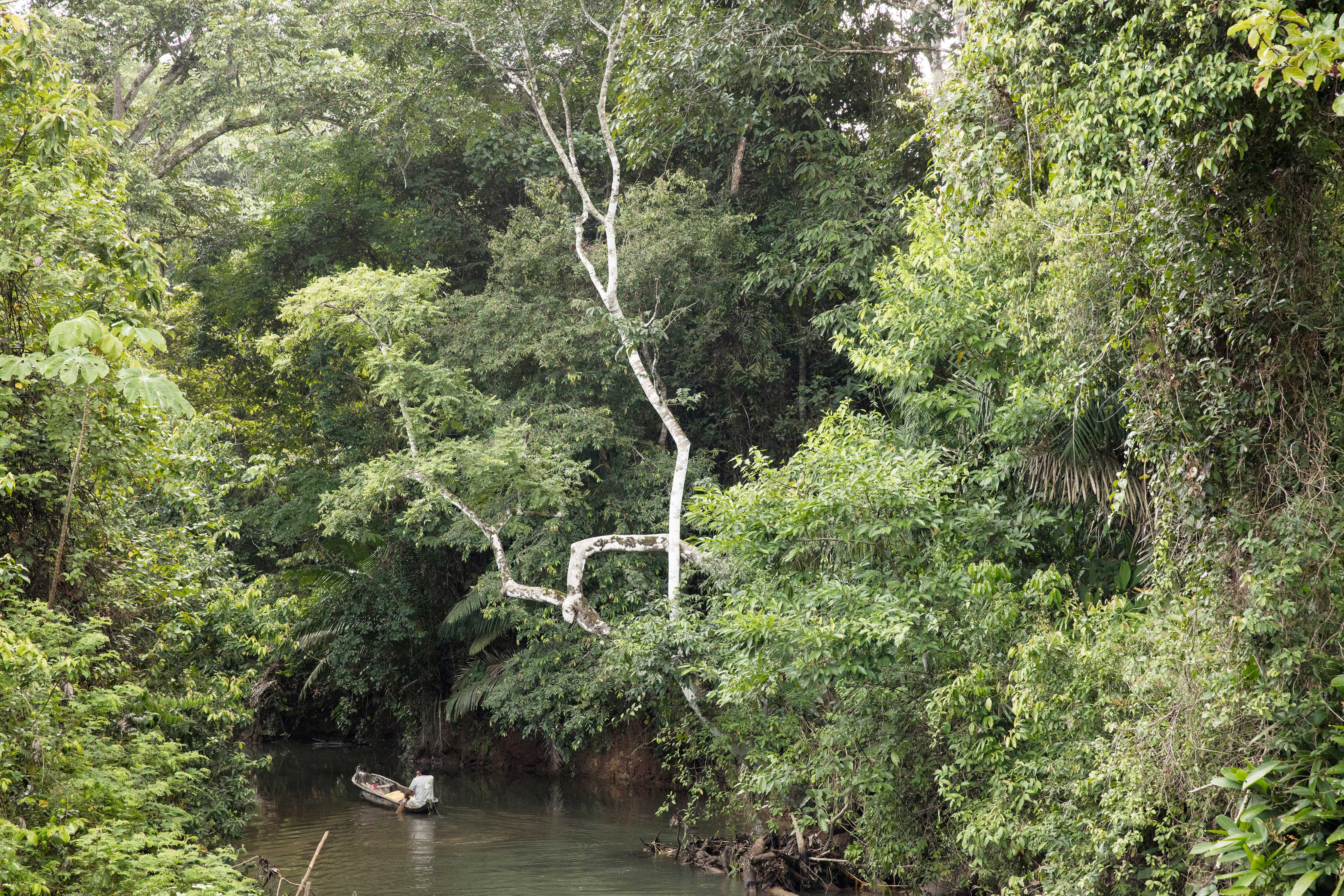Canoe in river