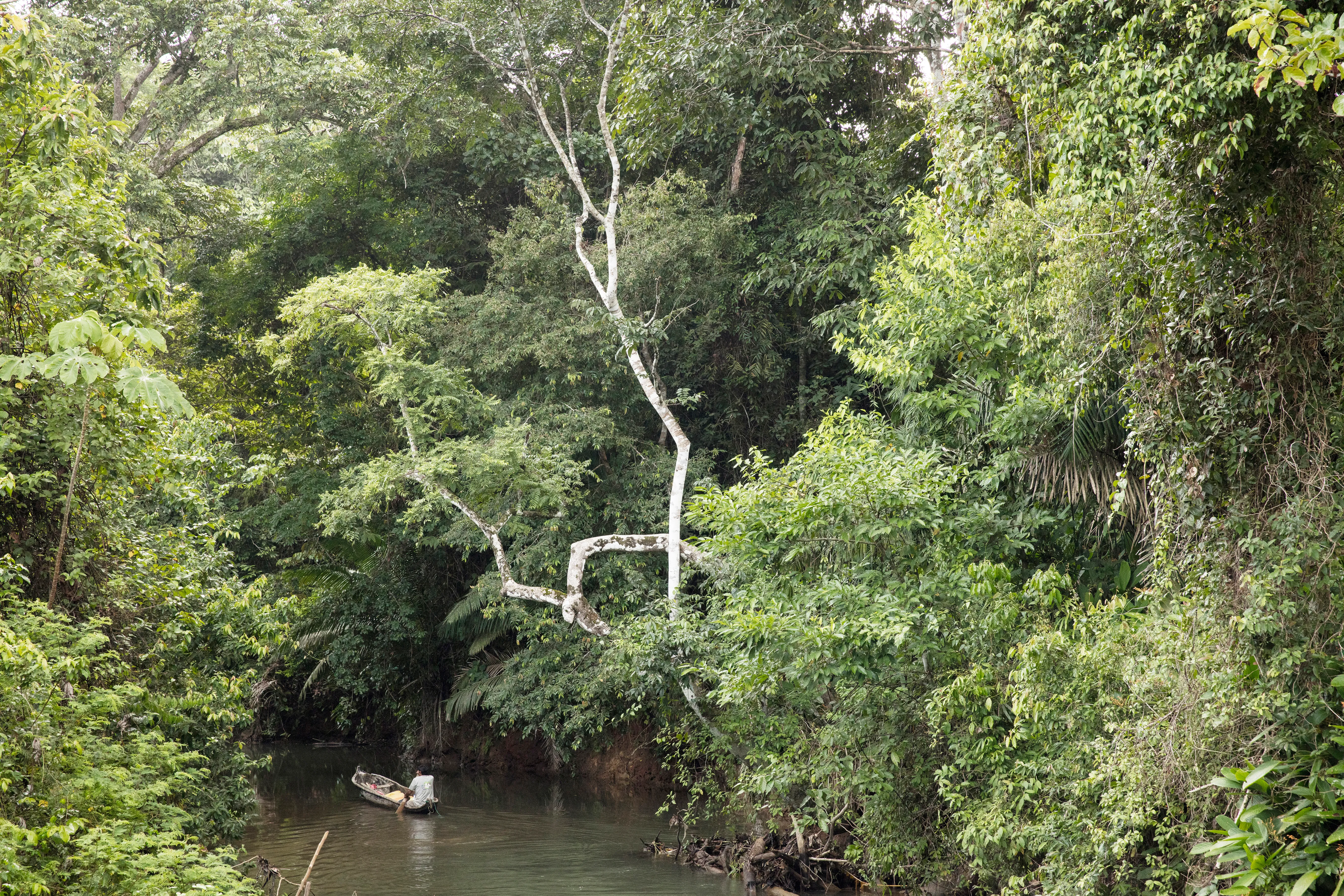 Canoe in river