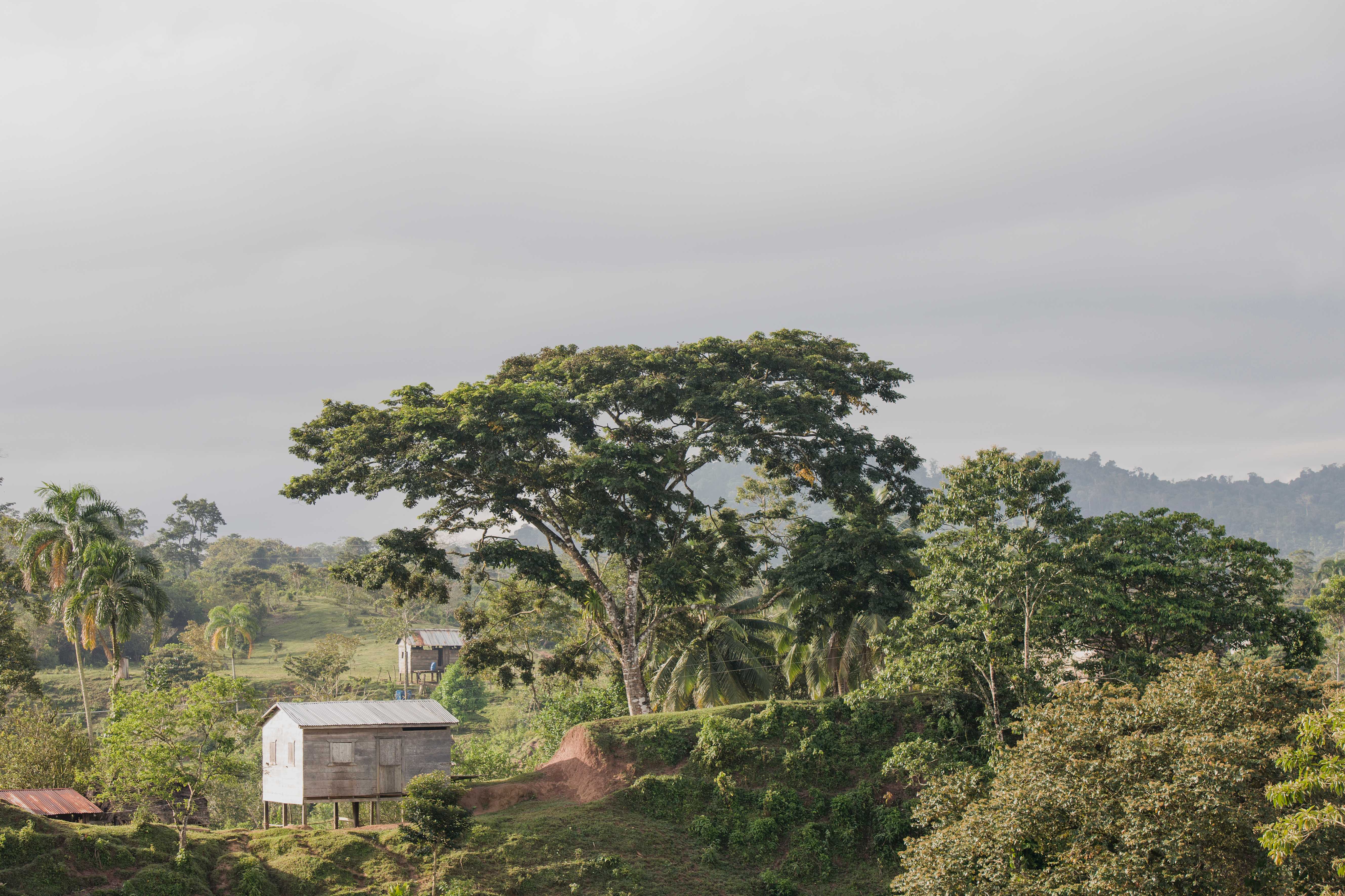 Houses in foothills