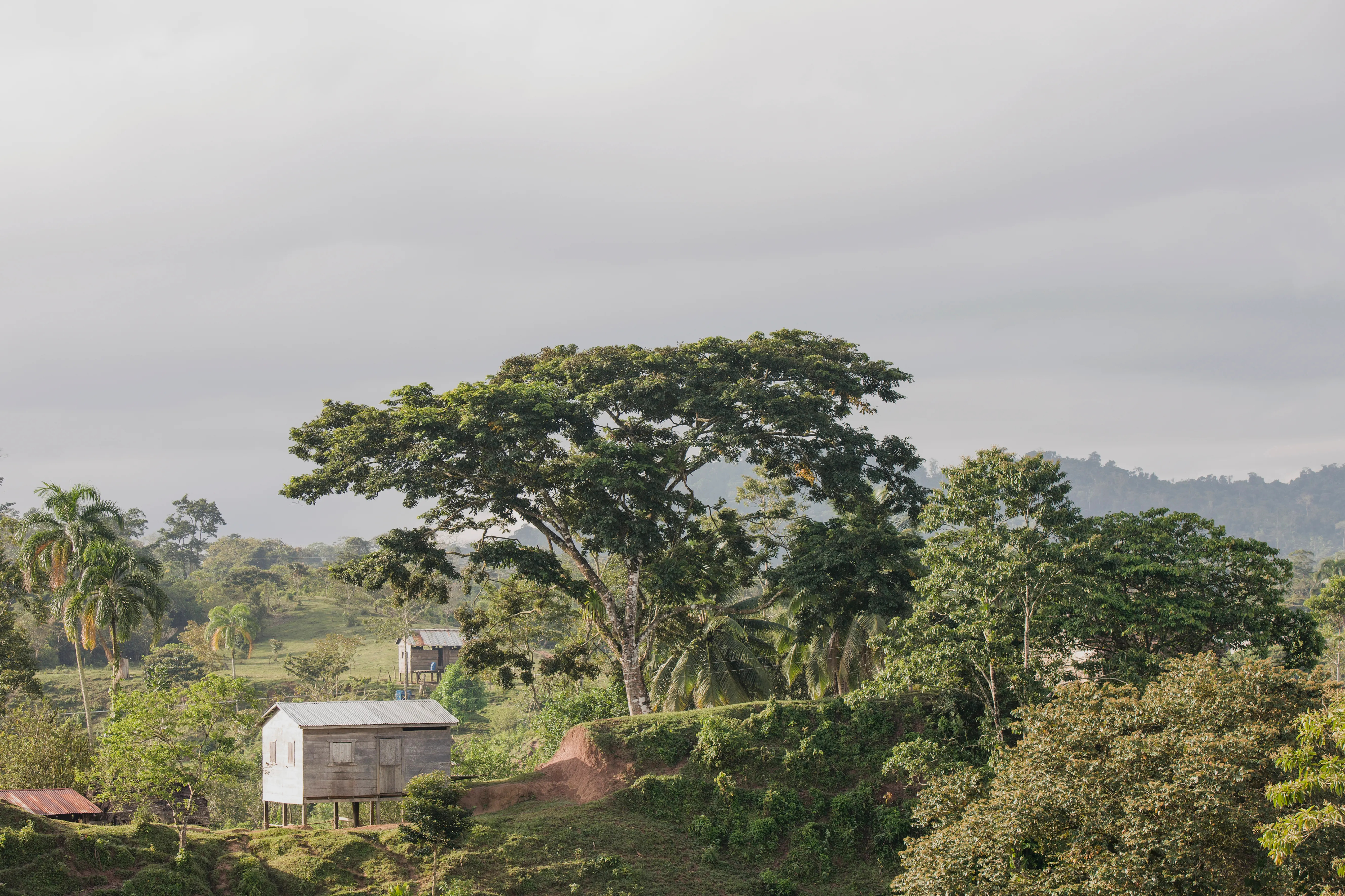 Houses in foothills